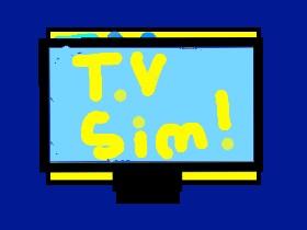 T.V Simulator! 1