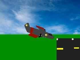 Flight Simulator 1