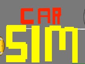 Car Sim RELEASED 1