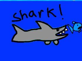 Shark is my life 1