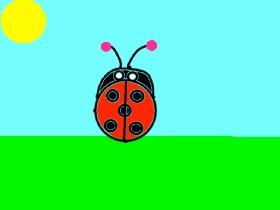 Learn To Draw a Ladybug