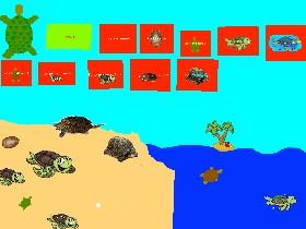 Turtle Clicker! 1