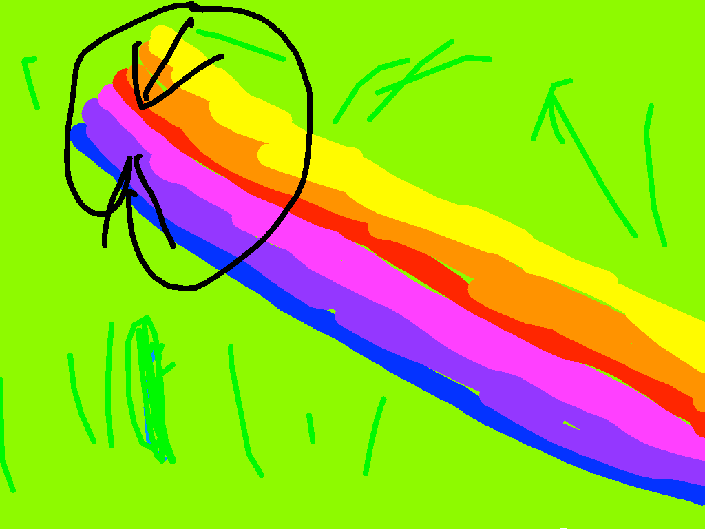 rainbow race