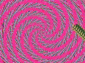 Spiral Triangles 3