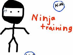 Ninja training 1