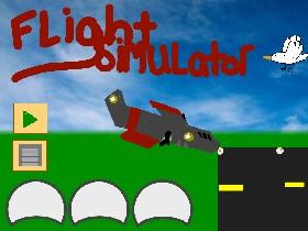 Flight Simulator 3