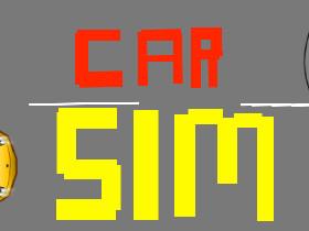 Car Sim! 1