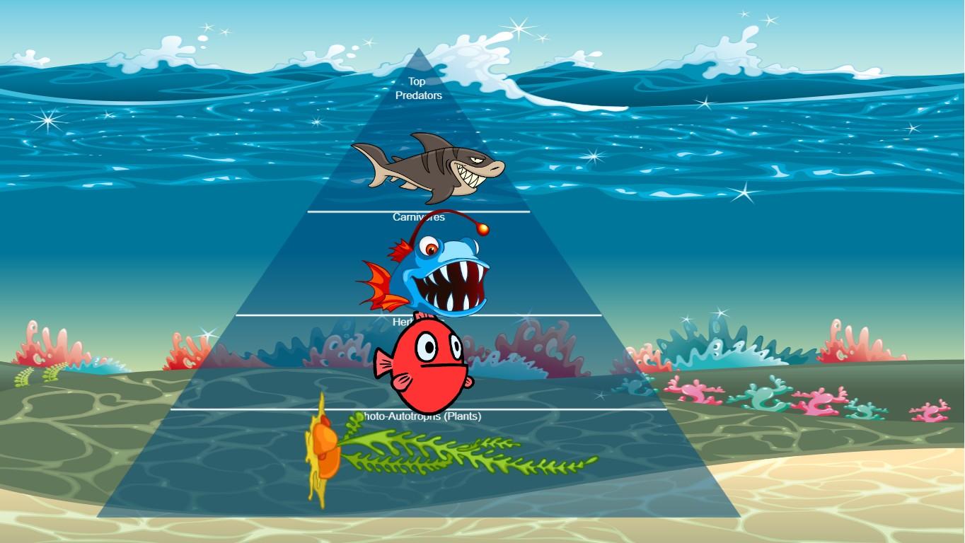 Ocean Ecological Pyramid