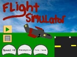 Flight Simulator 1