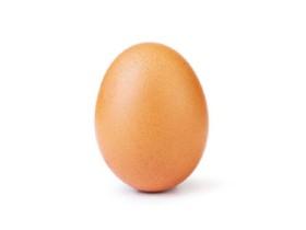 Egg