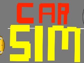 Car Sim RELEASED 1