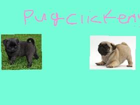 pug clicker🐶