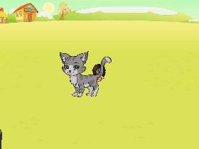 A Pet Game 2