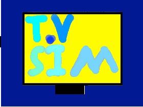 T.V Simulator! 1