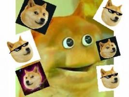 doge