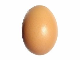 egg