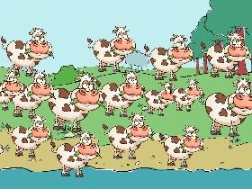 Cow land