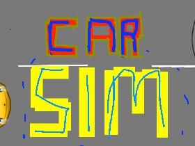 Car Sim RELEASED 2