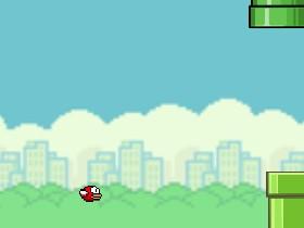 flappy bird  1 1