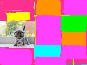 Kitten Clicker hacked by dont copy