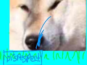 da leader dogey doge 1