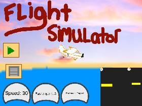 Flight Simulator 1 1