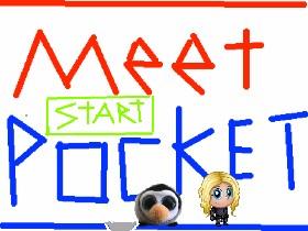 Meet Pocket!                                                         Minecraft Roblox alpha pacman geometry dash dress up doll clicker fun granny old cute 1
