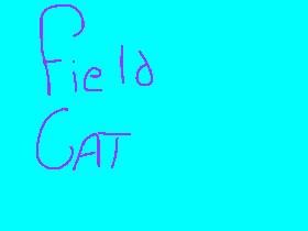 ~For Field_Cat~