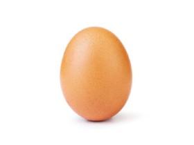 Egg 1