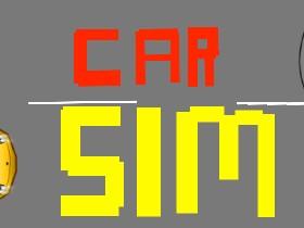 Car Sim (do not copy) 1