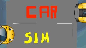 Car Sim RELEASED 1 1