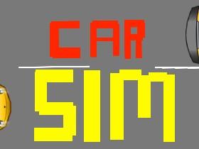 Car Sim RELEASED 2