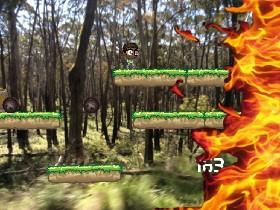 Forest Fire 2