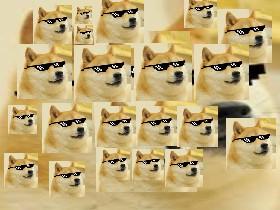 verydoge