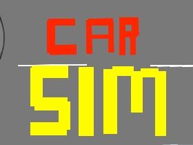 Car Sim RELEASED 1