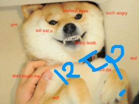 R.I.P DOGE :(