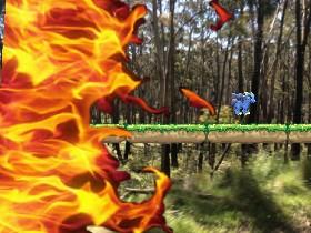 Forest Fire? 1