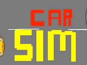 Car Sim RELEASED 1