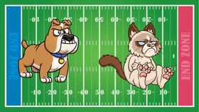 Cats vs Dogs