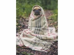 dog in blanket