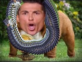 köpek cr7