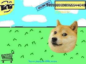 Dogecoin to the max