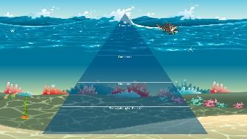 Ecological Pyramid 1