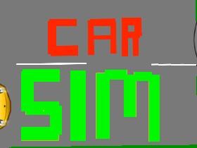 Car Sim RELEASED 2