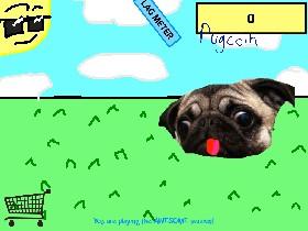 Pug Clicker