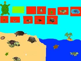 Turtle Clicker! 1 1