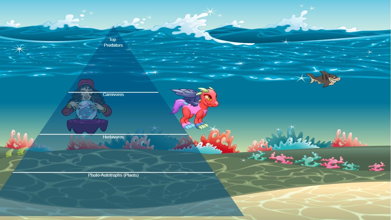 Ocean Ecological Pyramid