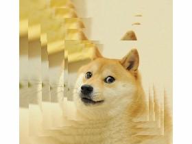 doge spinner