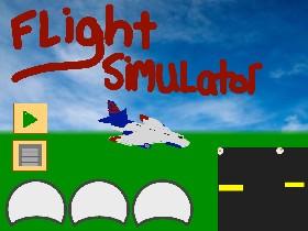 Flight Simulator 1