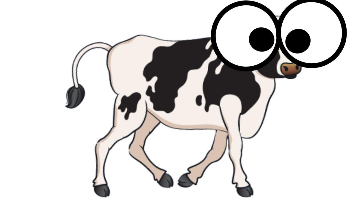 Laynes cow thing